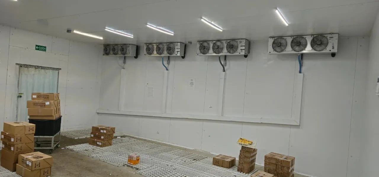 Câmara Congelada - Foto 2