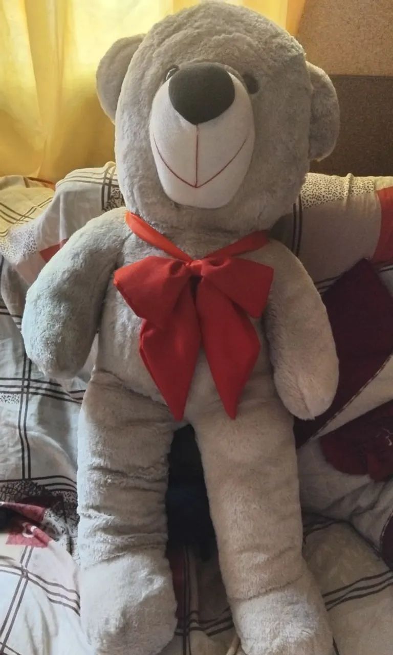 Vendo urso