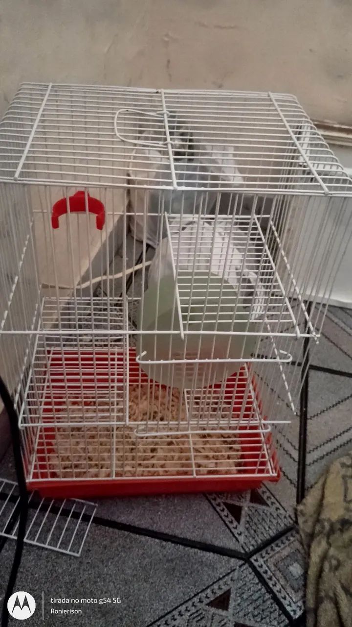 Vende-se gaiola de hamster