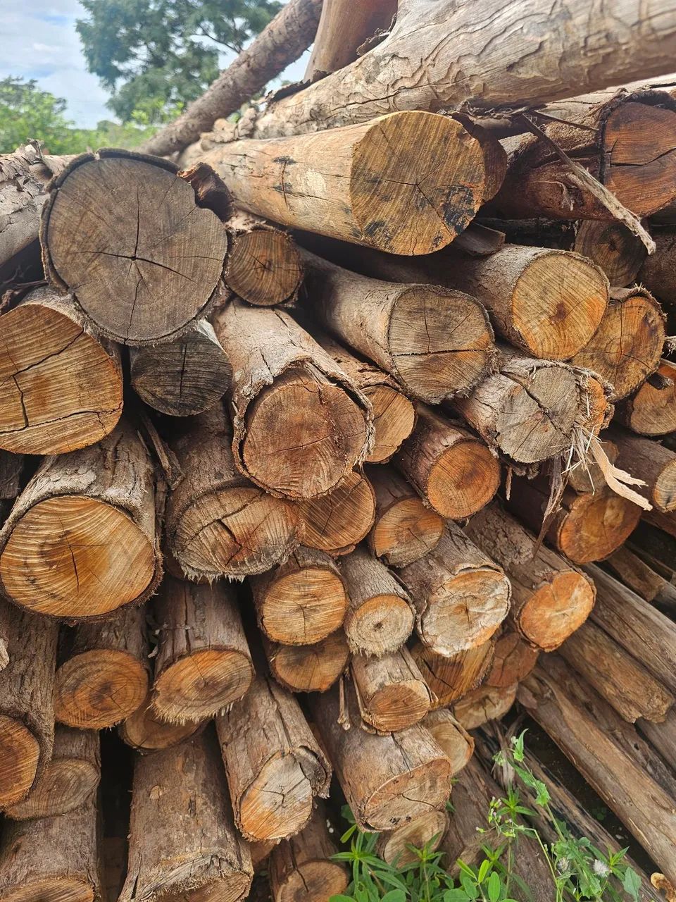 Escoras usadas de promoção  - Foto 2