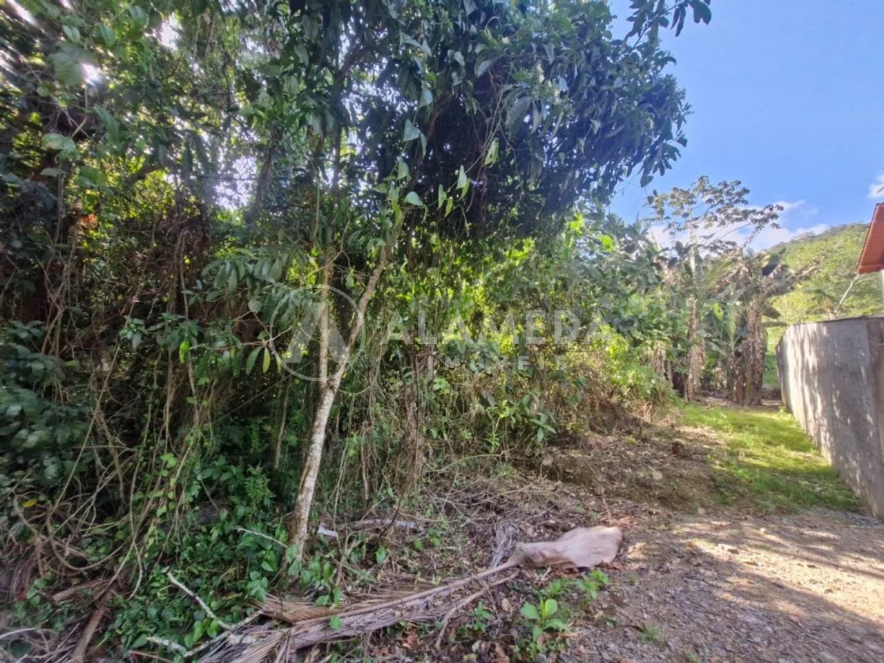 Terreno localizado próximo ao centro em transversal da Rua Pastor ...