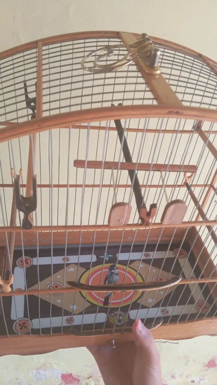 Gaiola de passeio de papa zerada  - Foto 2