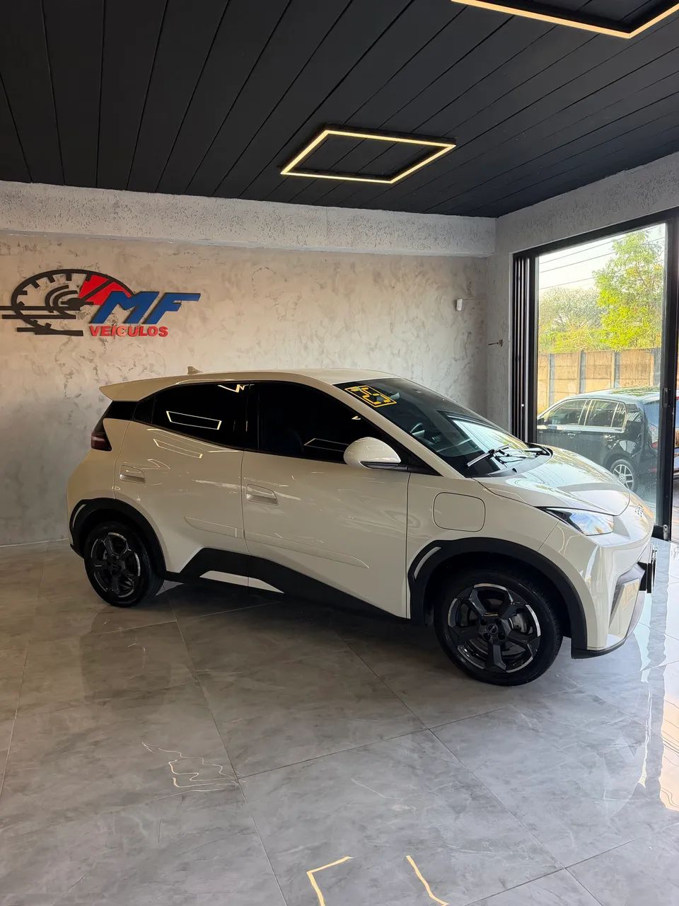 BYD Dolphin Mini (Elétrico) 2025