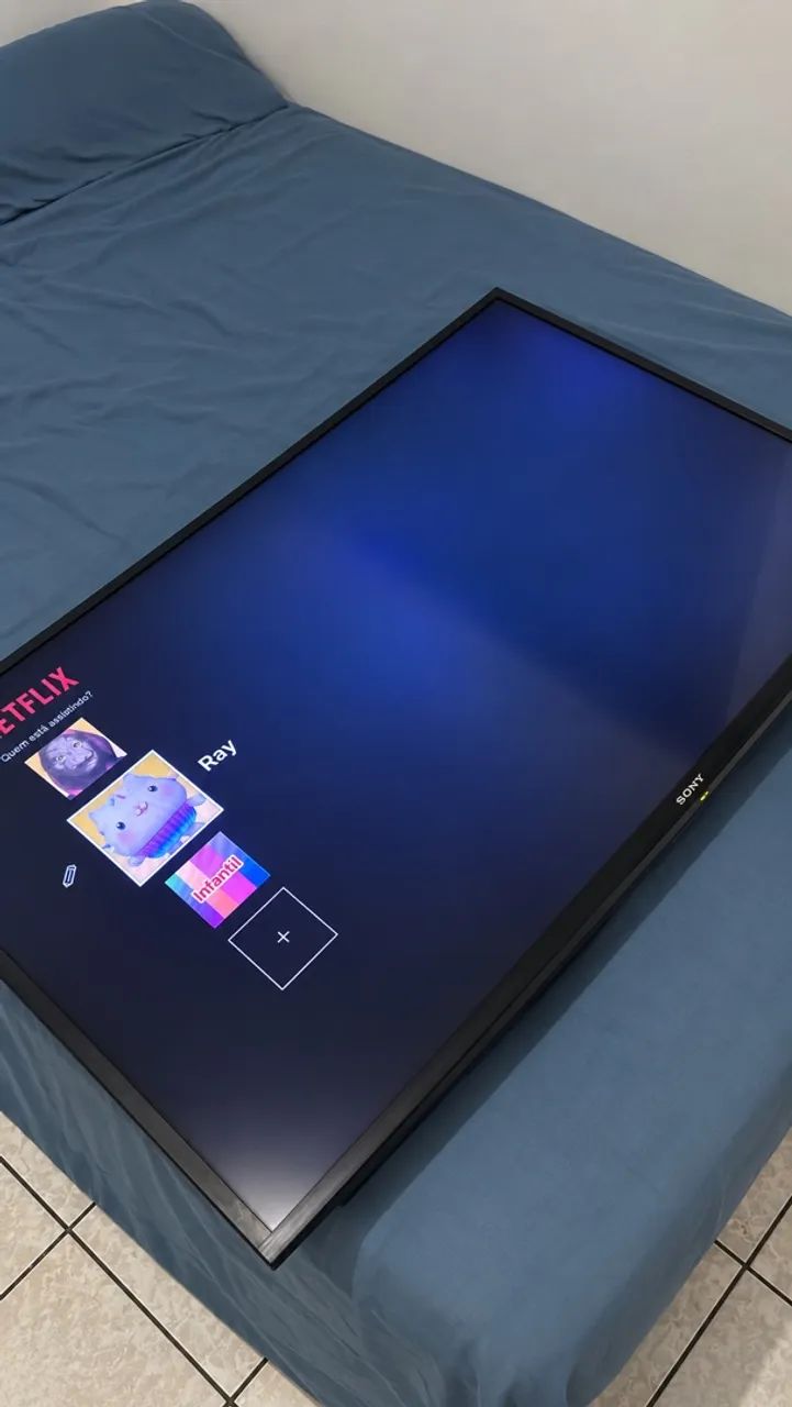 Vendo Tv 48 polegadas (Sony)