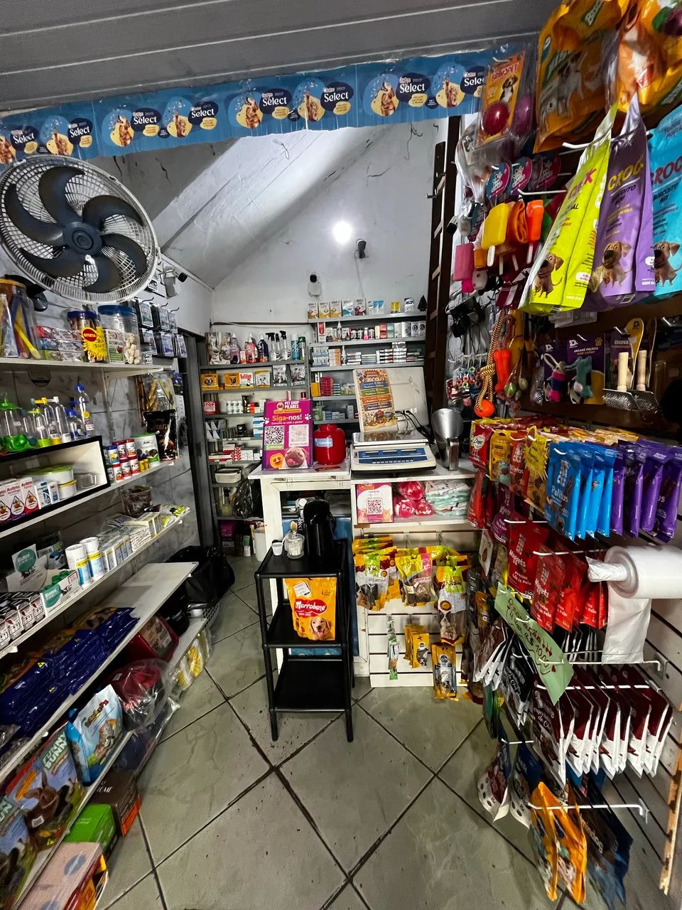 PASSO PONTO PET SHOP (PILARES) - Foto 2