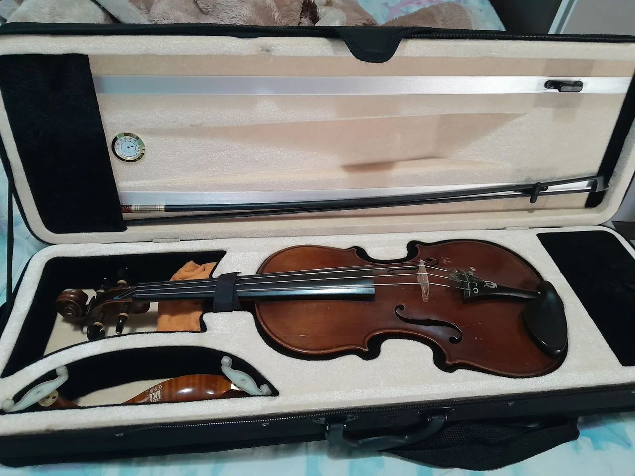 Violino proficional 