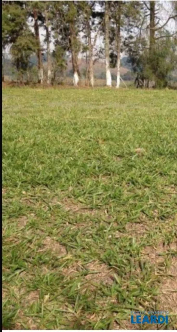 AREA - VILA GUILHERME - SP - Foto 4