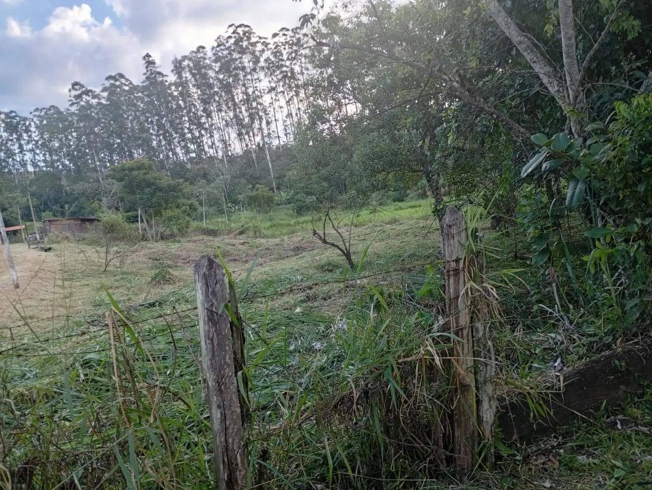 Chácara 2.500 m2 plana - Próxima da cidade - Foto 2