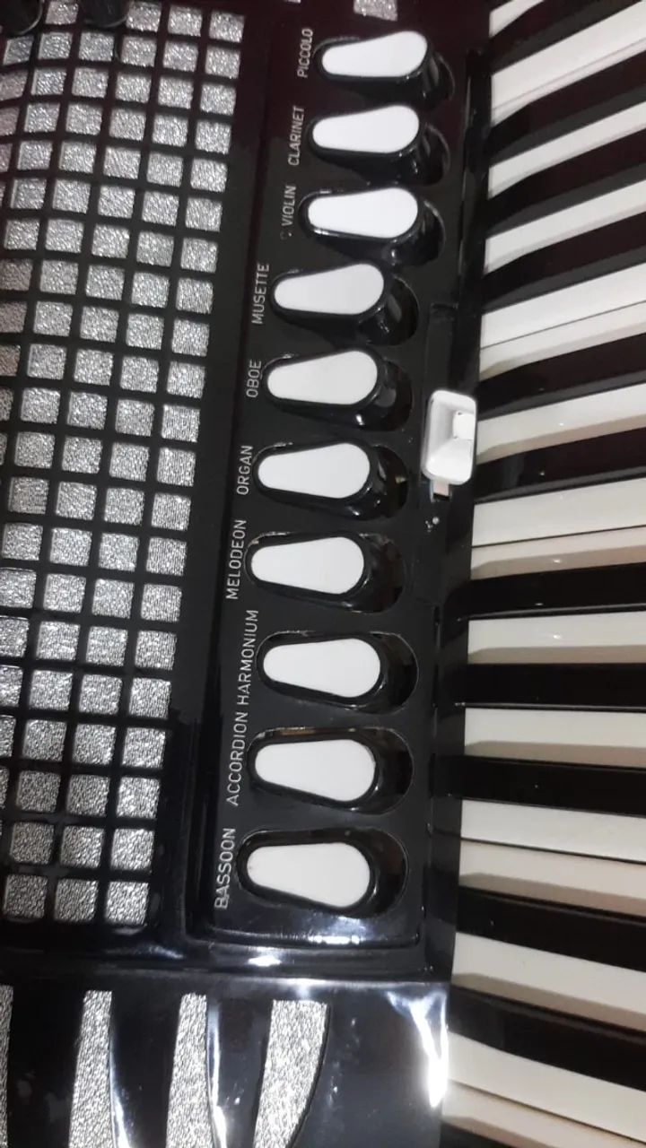 acordeon excelsiola dupla ressonância