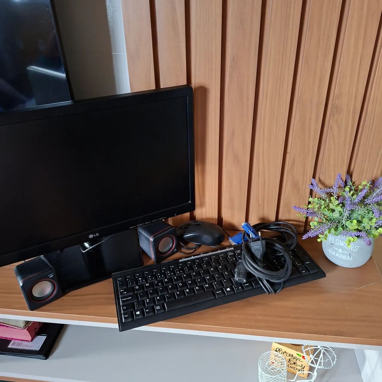 Monitor LG
