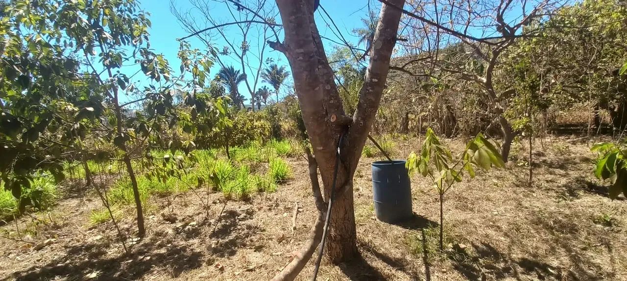 Chácara Taquaruçu 95 mil lote  - Foto 2