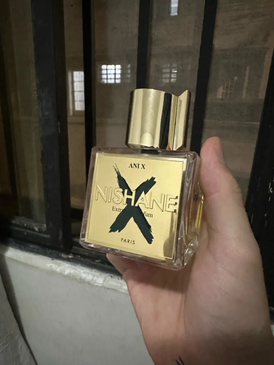 Ani X 