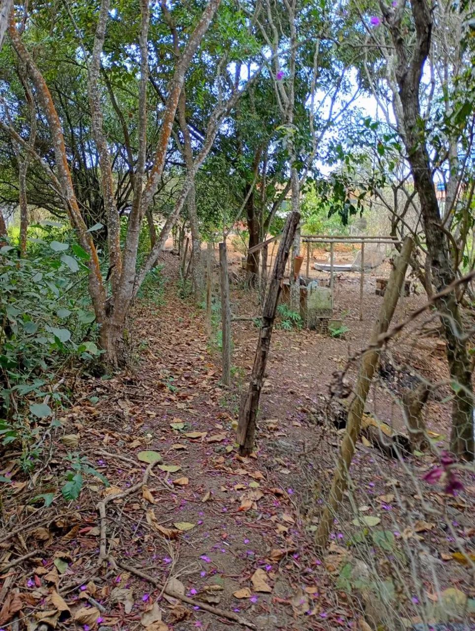 Terreno de 3 mil metros  - Foto 2