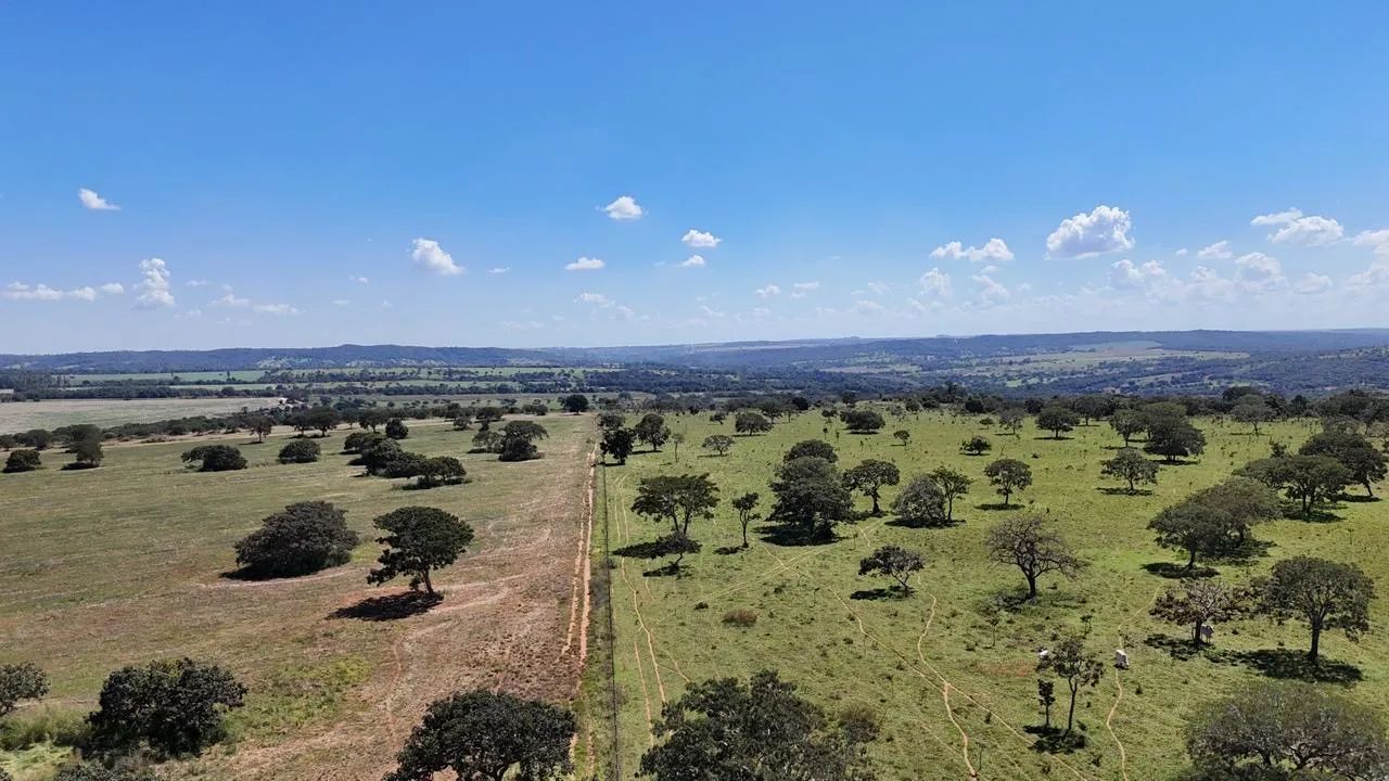 Fazenda em Aragoiânia  - Foto 5