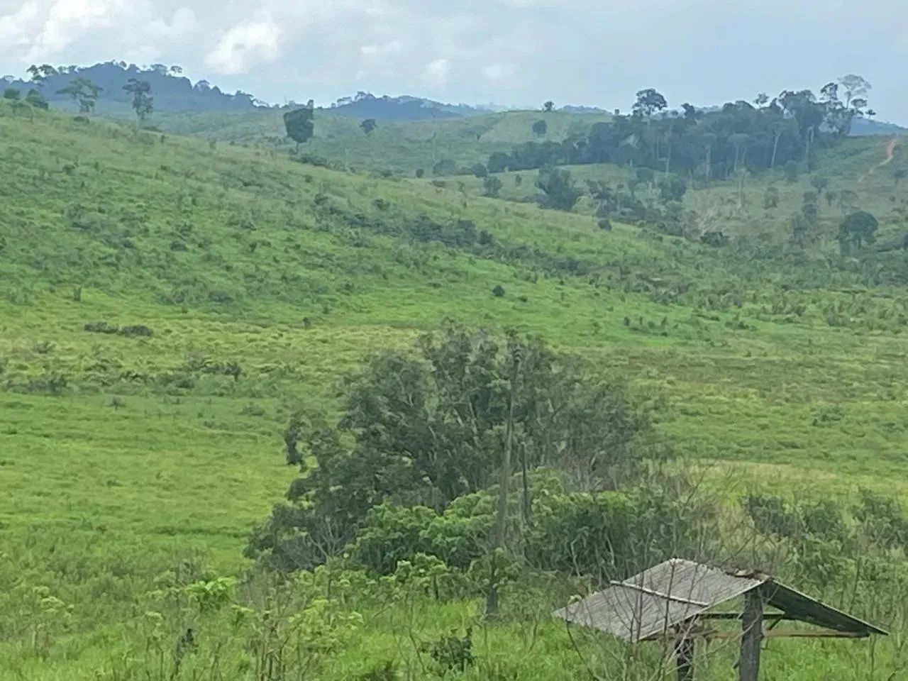 fazenda em Pacajá-PA - Foto 2