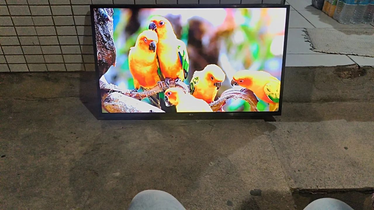 Tv Smart LG 43 Polegadas Imagem HDR Completa  - Foto 3