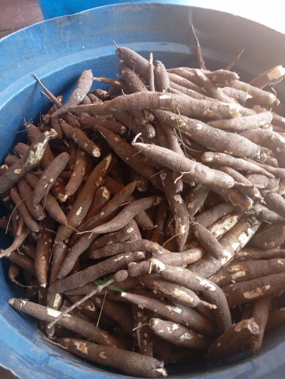 DIRETO DO CAMPO PARA A SUA MESA!  - Foto 5
