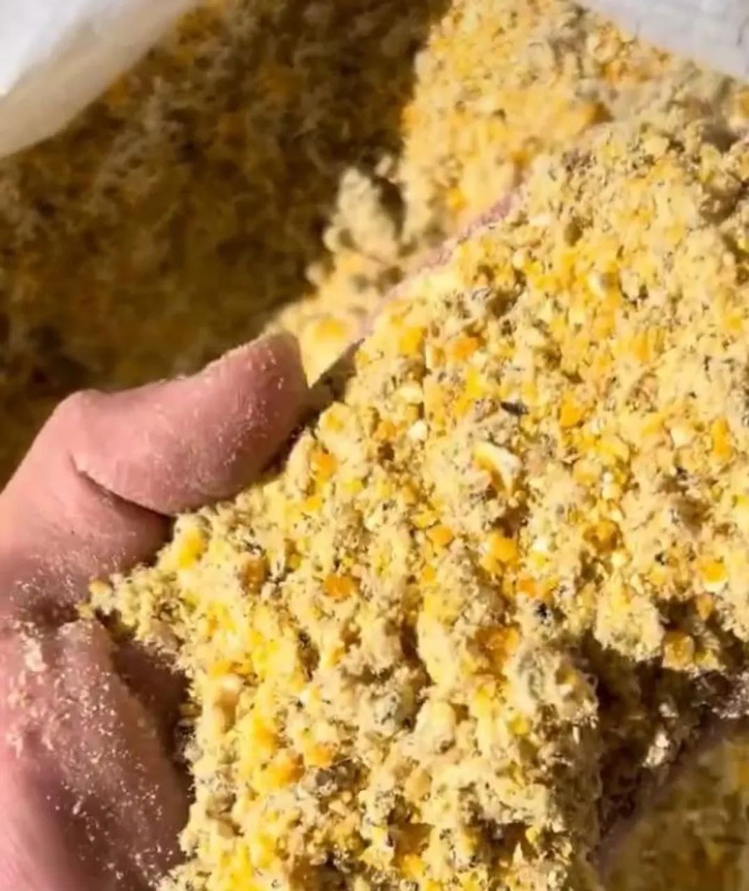 Milho em Grãos Safra Nova,Quirela de Milho(xérem,Fubazão)Farelo de Soja Direto do Produtor - Foto 3