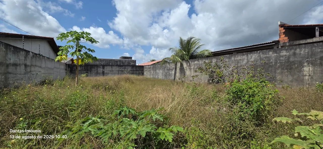 LOTE NO BAIRRO GOIABAL  - Foto 5