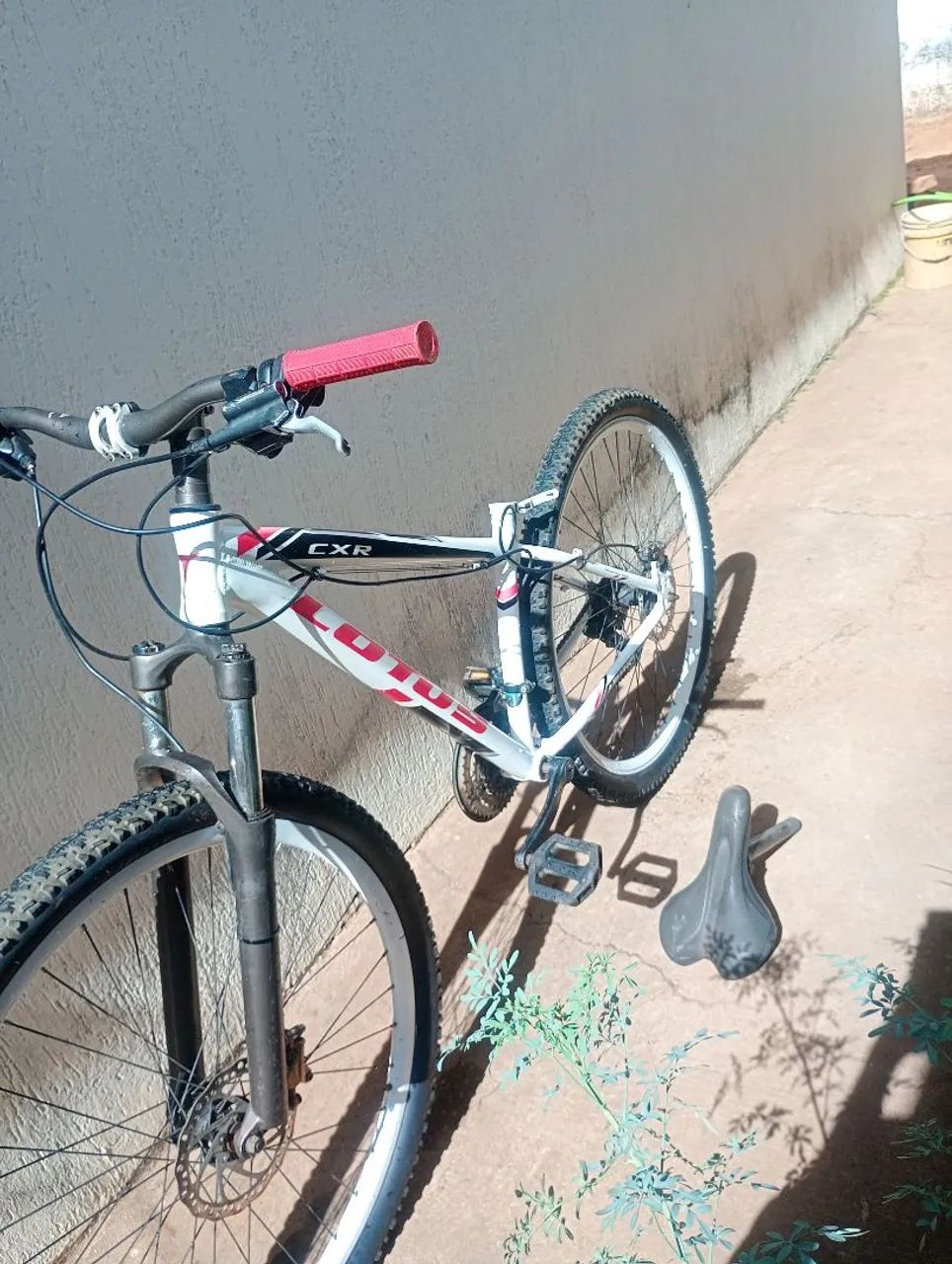Bicicleta/Lotus Aro 29 