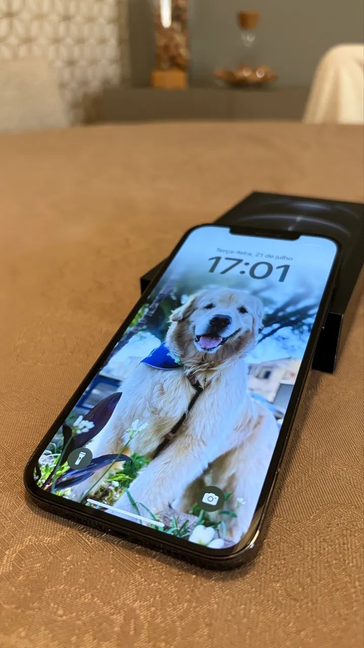 iPhone 12 Pro Max 128 GB - Azul Pacífico + Caixa e acessórios |   - Foto 5