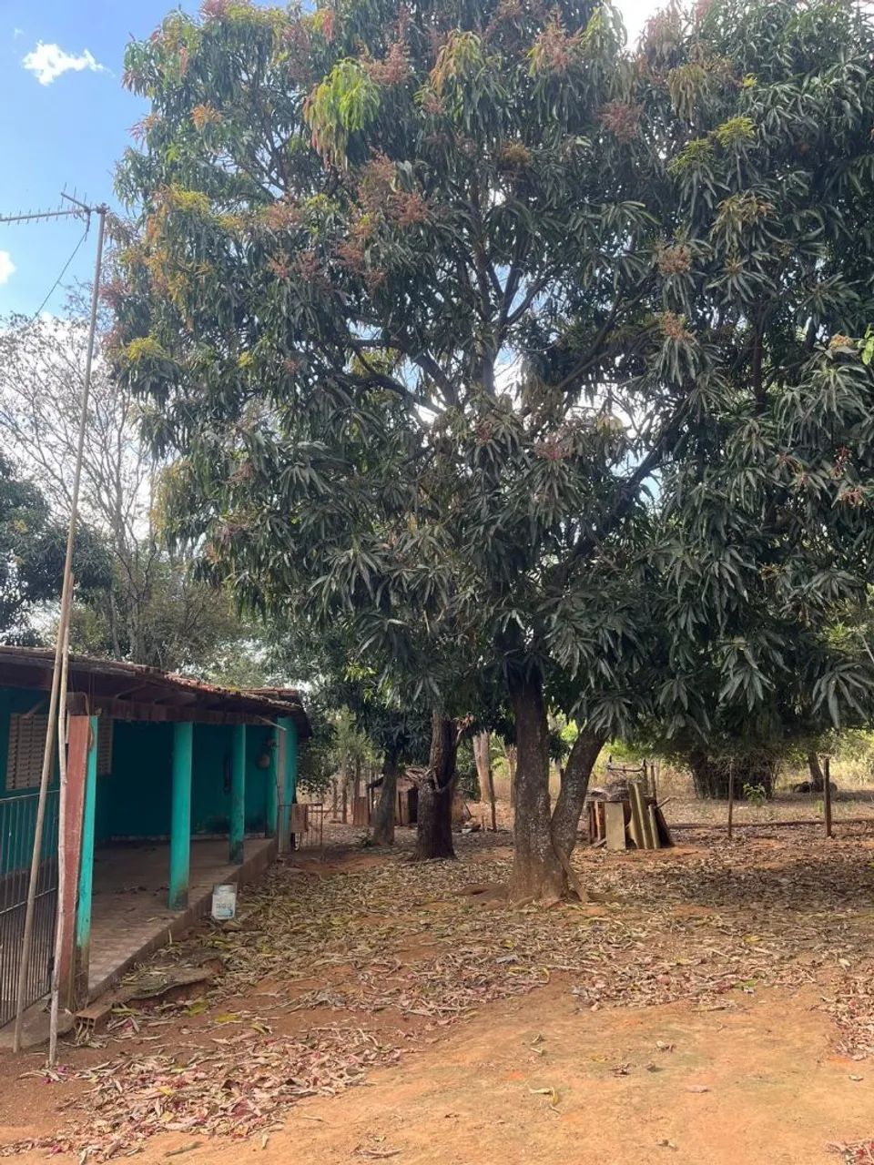 CHÁCARA 72.000 m² COM CÓRREGO, CASA E ENERGIA - GO-020 | BELA VISTA DE GOIÁS - Foto 5