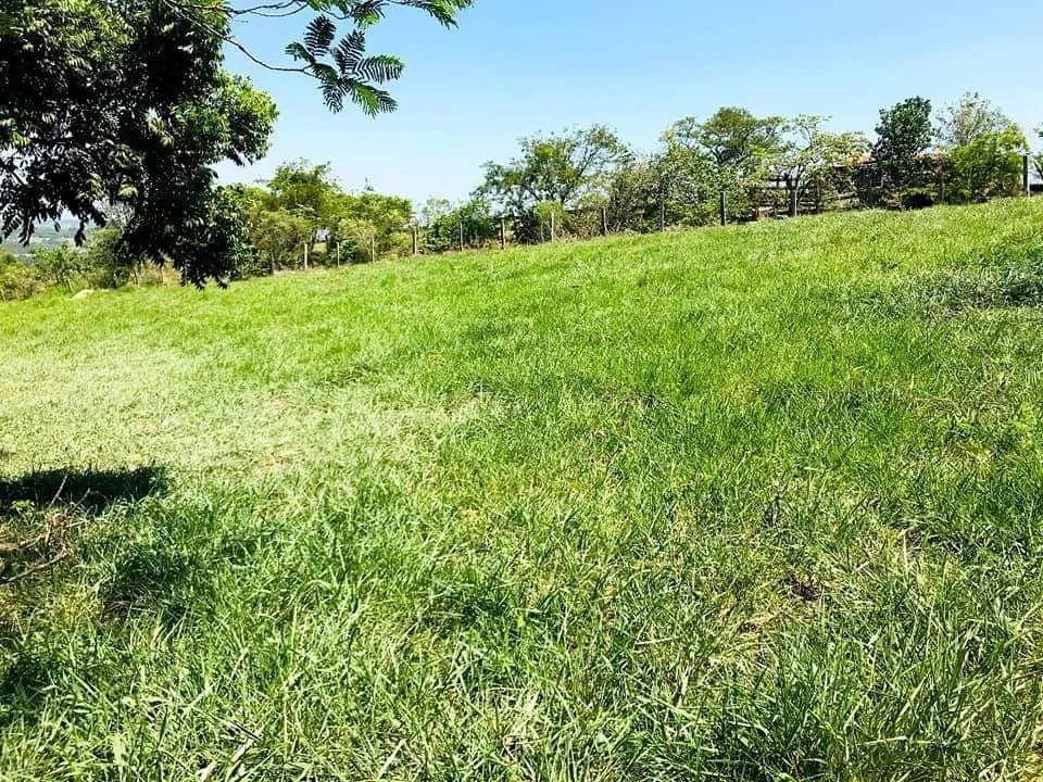 Sítio para venda em Cesário Lange com 3,5 alqueires - Foto 5