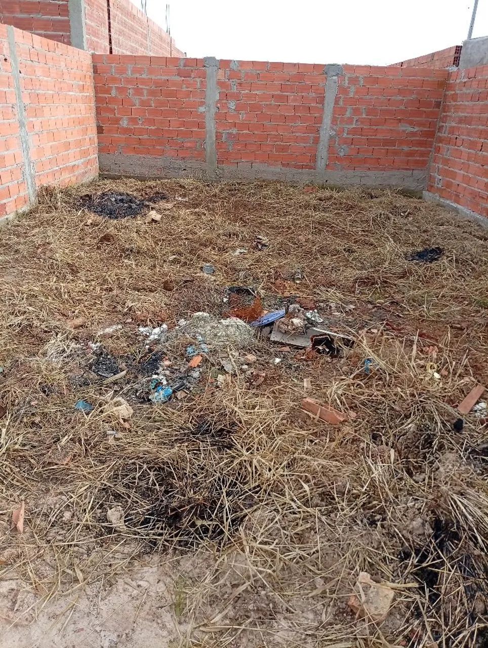 Foto - Campinas - Jardim Mirassol