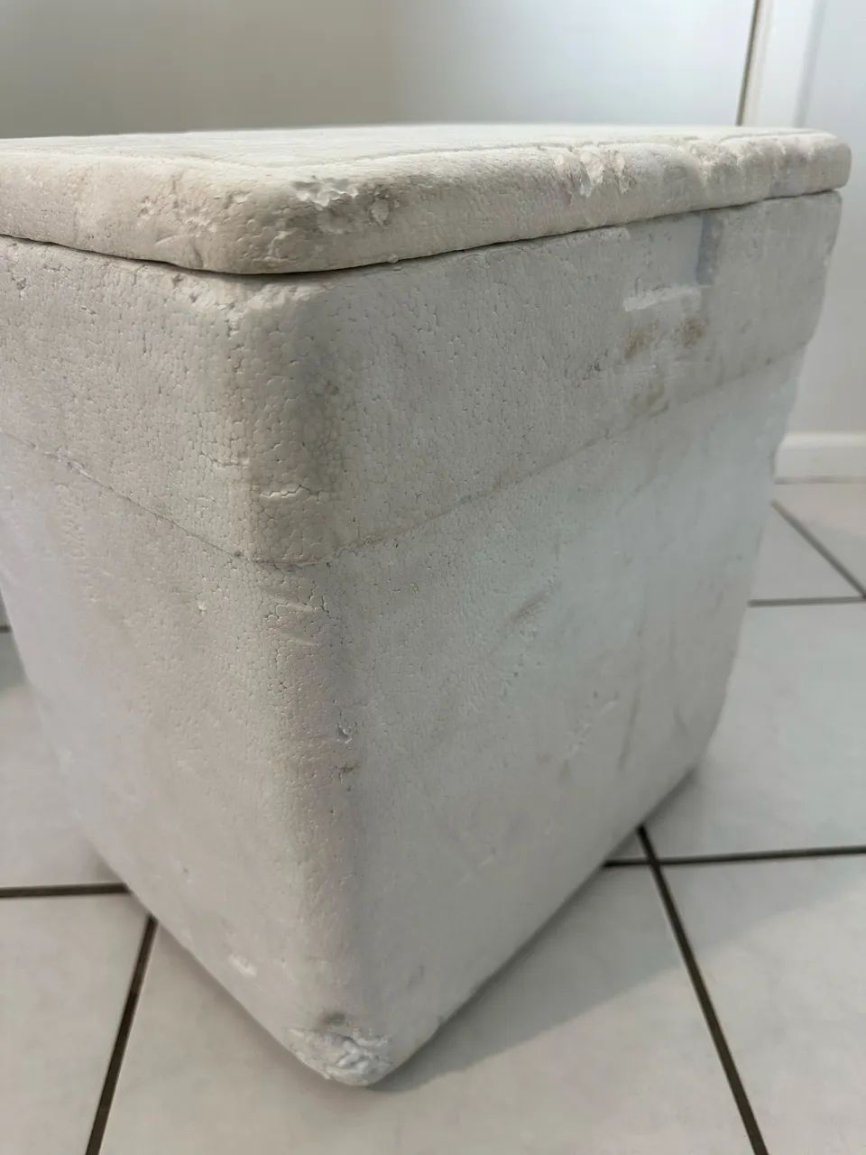 Caixa térmica de isopor