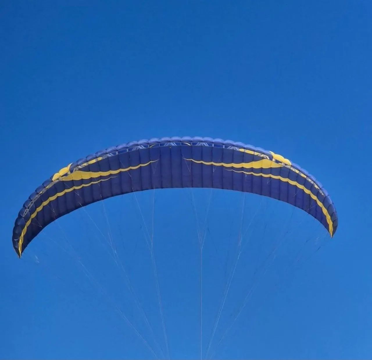 Asa paramotor flexus 2 L, revisão em dia.