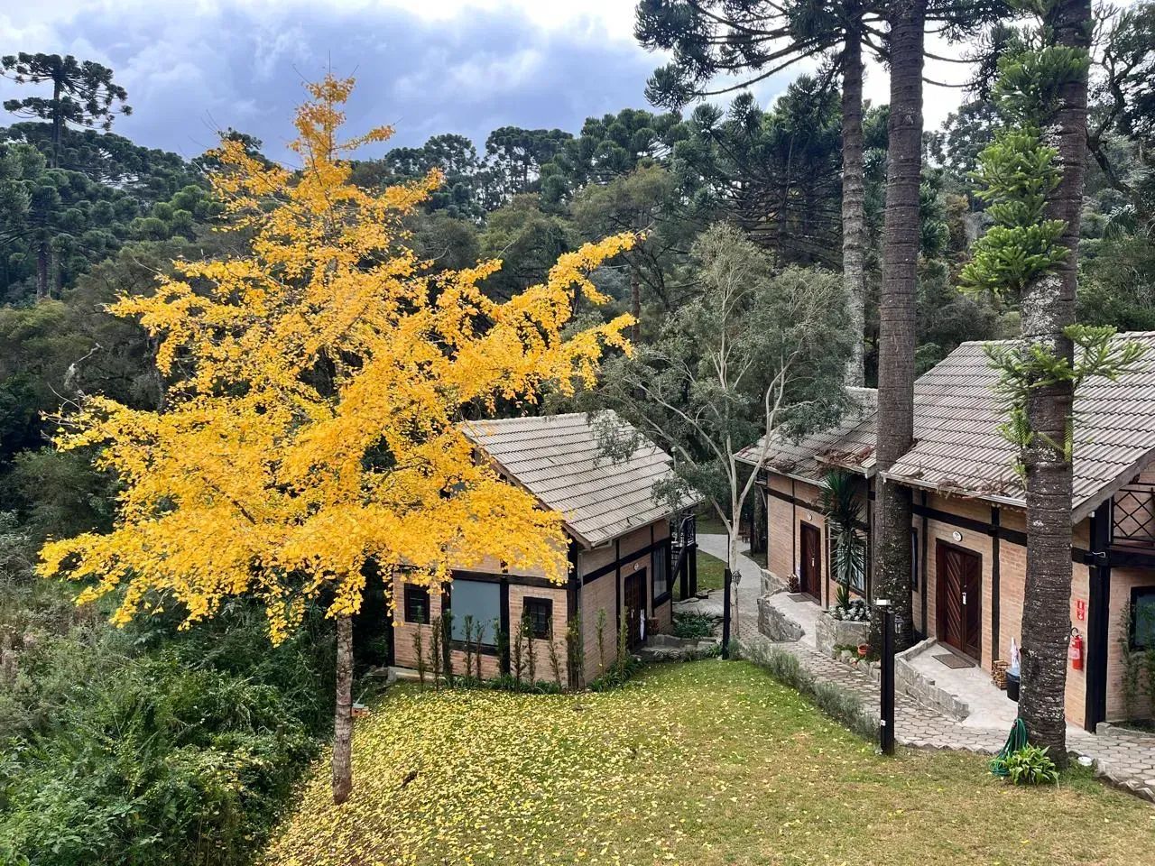 Linda e pitoresca pousada a venda em Monte Verde Mg, cuidado e conforto te esperam neste n - Foto 4