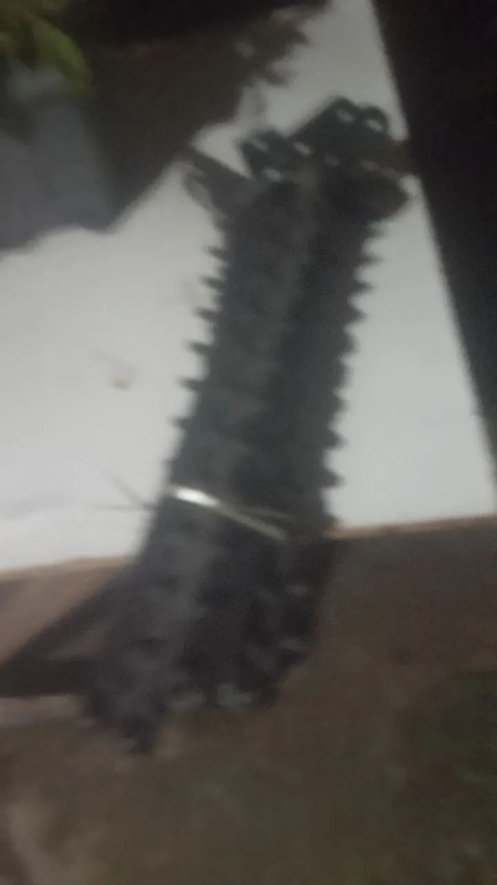 Arara com suporte