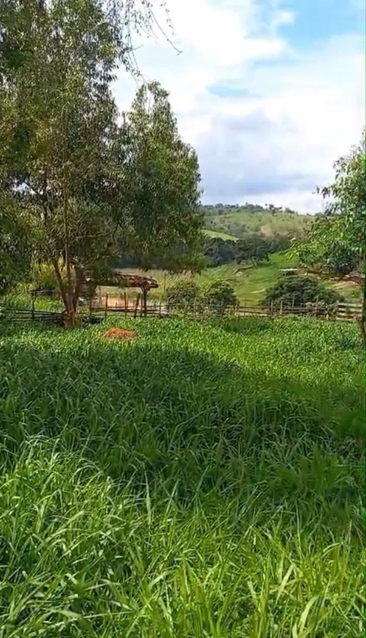 Terreno a venda em Florestal MG - Foto 3