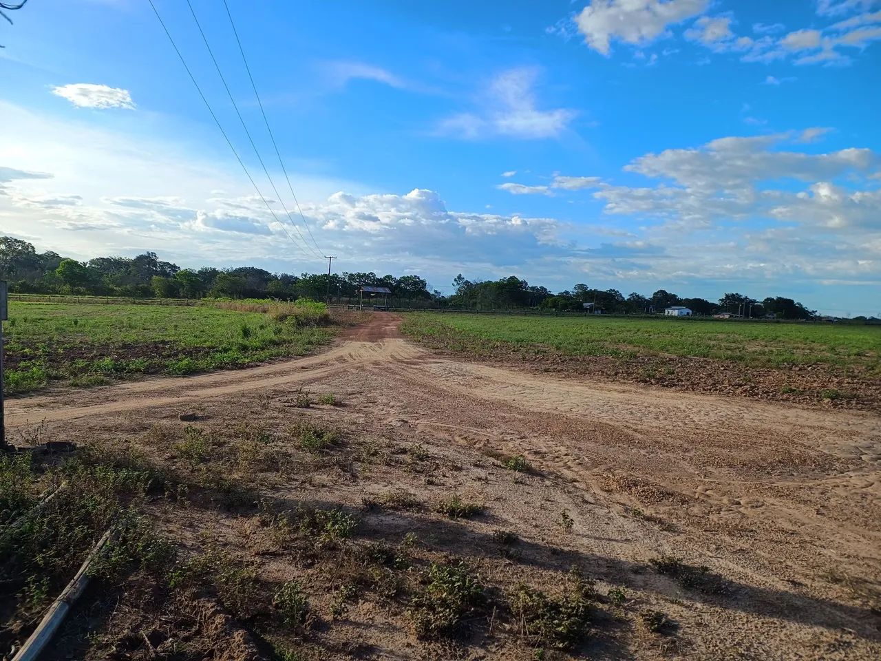 Fazenda Alto Padrão - Foto 5