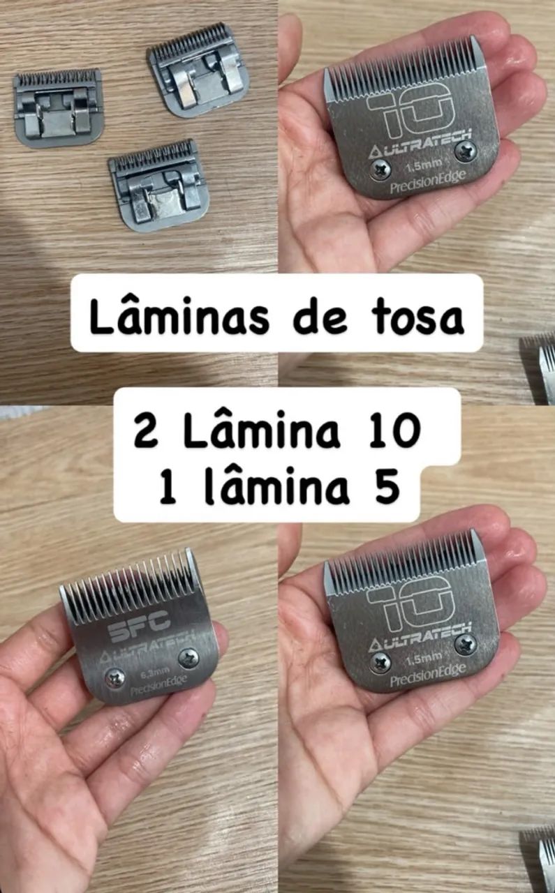 Laminas de Tosa: 10 e 5