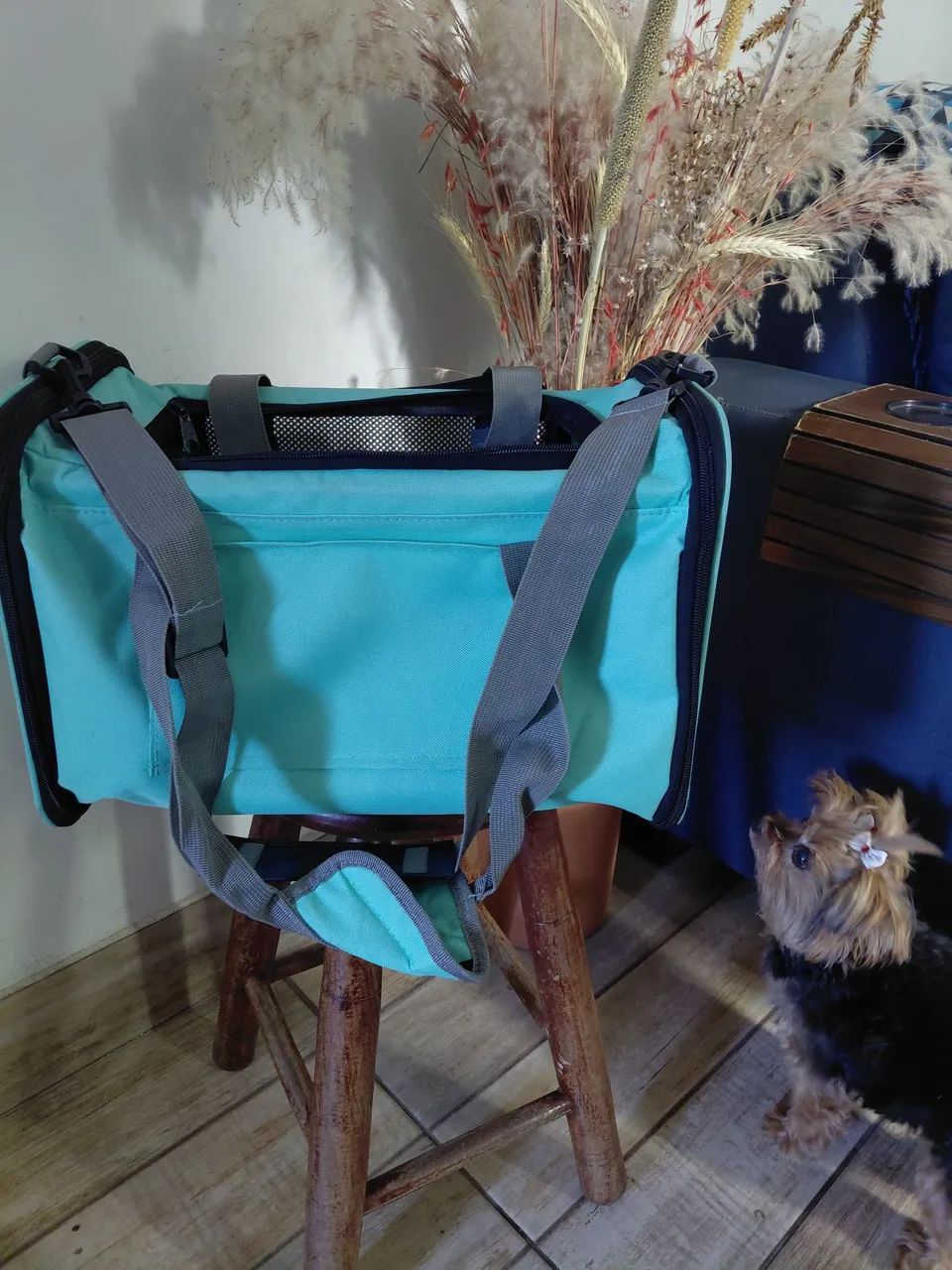 Bolsa de Transporte para pets de até  5 kg