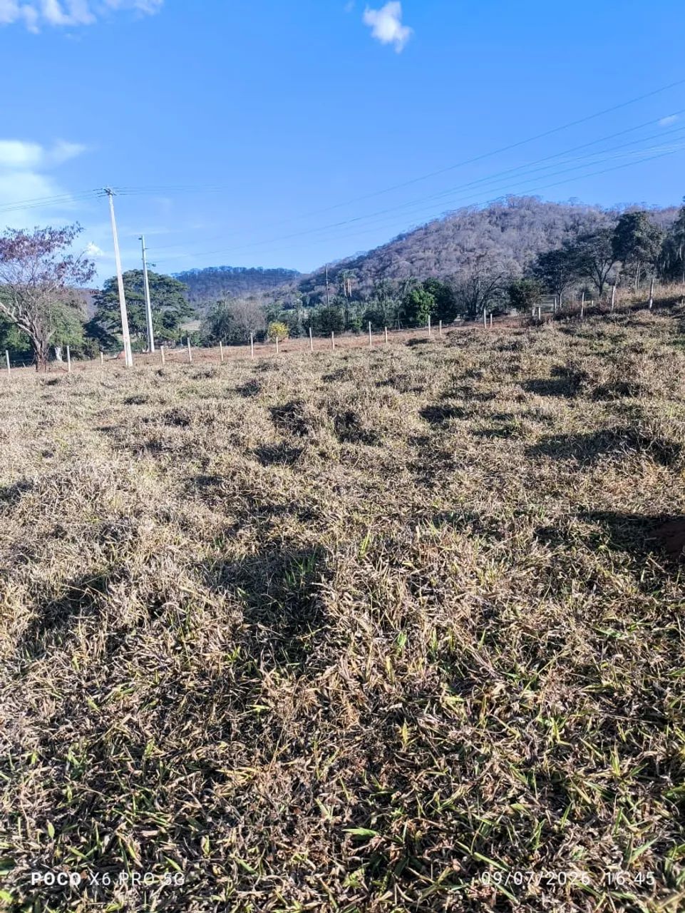 Chácara em Avelinópolis  - Foto 2