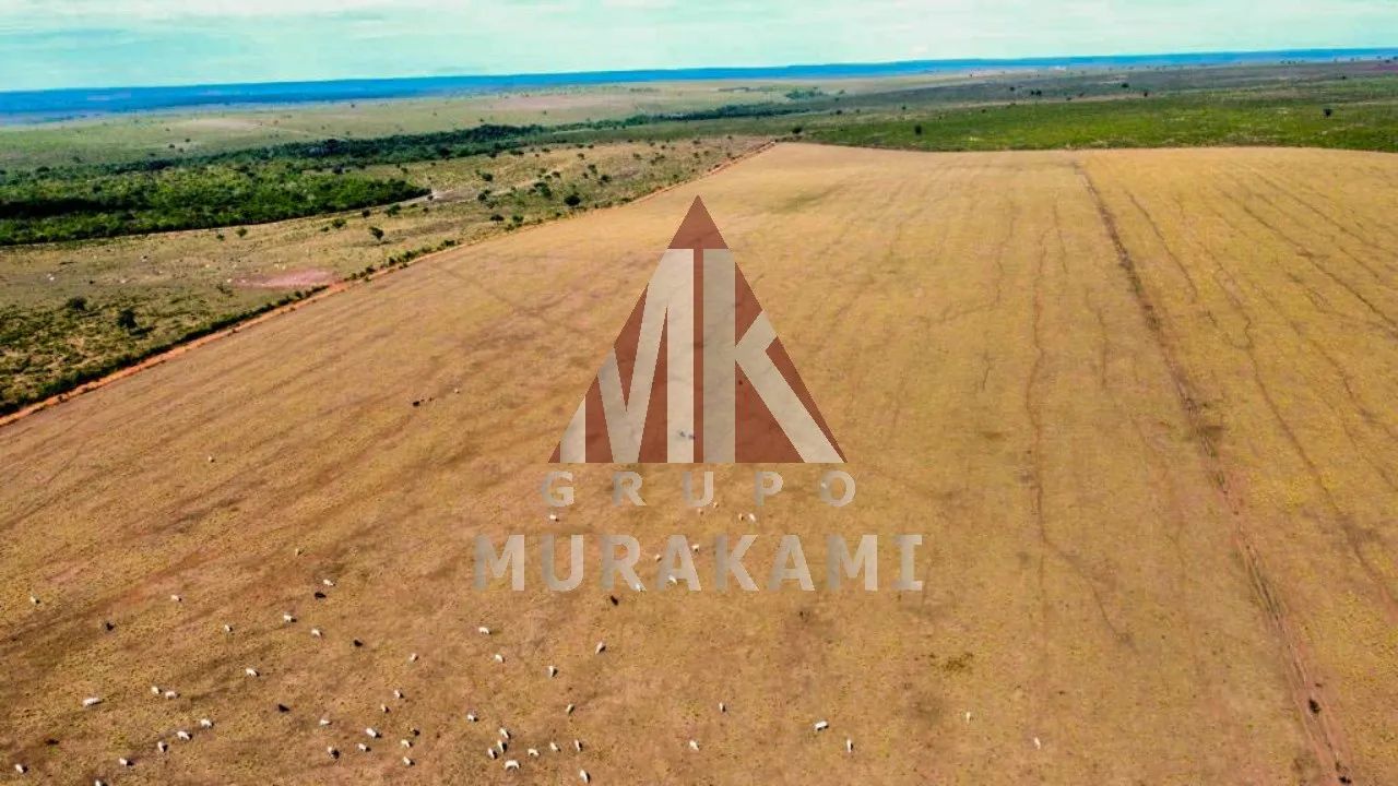 FAZENDA - AQUIDAUANA - MS - Foto 4