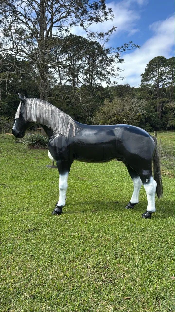 Cavalo de fibra  - Foto 4