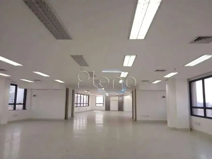 Laje para alugar em Campinas, Cambuí, com 226 m²