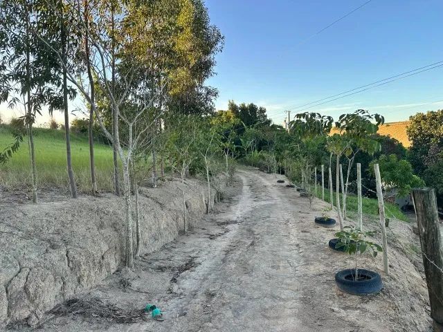 Lindo Sítio em Marataízes ( Jabuti ) com 6.500m² de sossego e tranquilidade - Foto 2