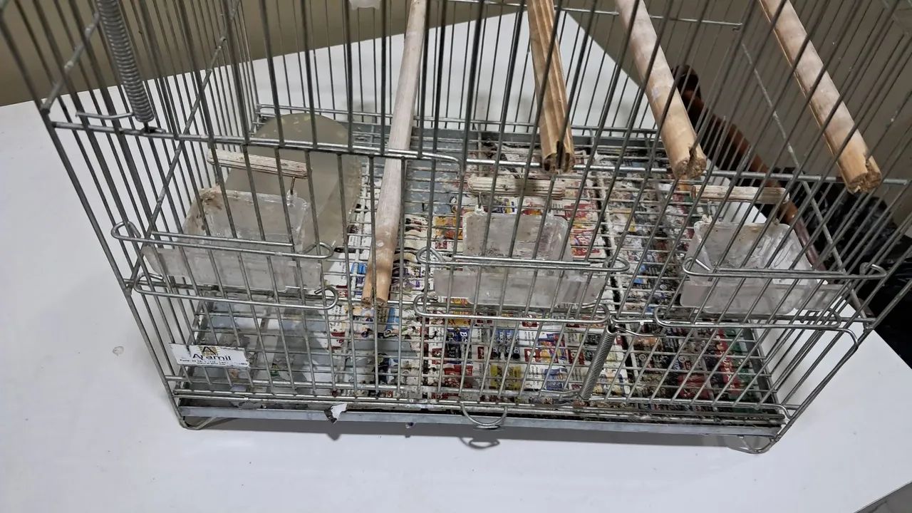 Gaiola média para pássaros  - Foto 2