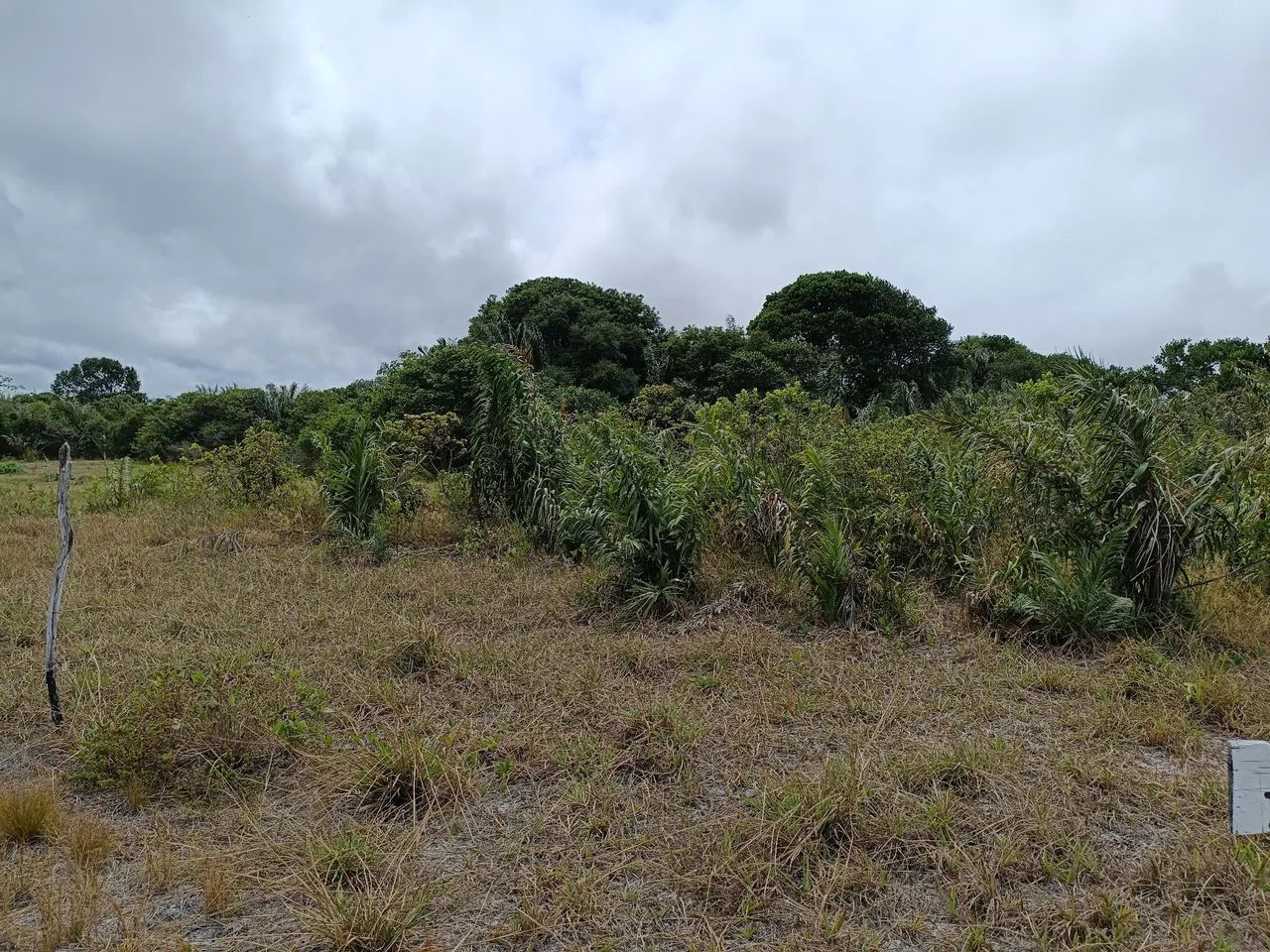Terreno no Angelim  jatobá  - Foto 3