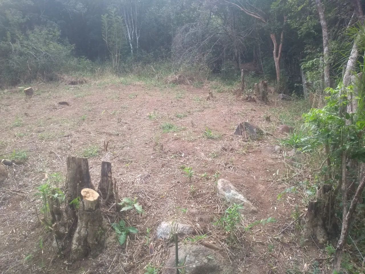  Vendo terreno na Costeira do Pirajubae  - Foto 3