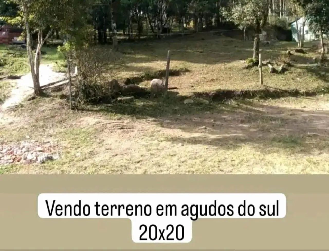 Terreno * - Foto 2