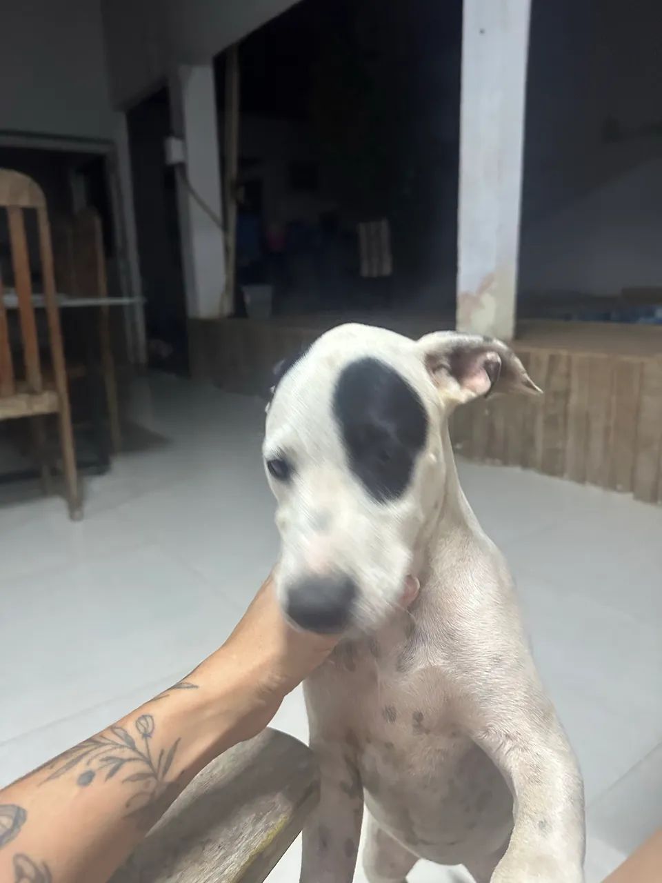 Doação 