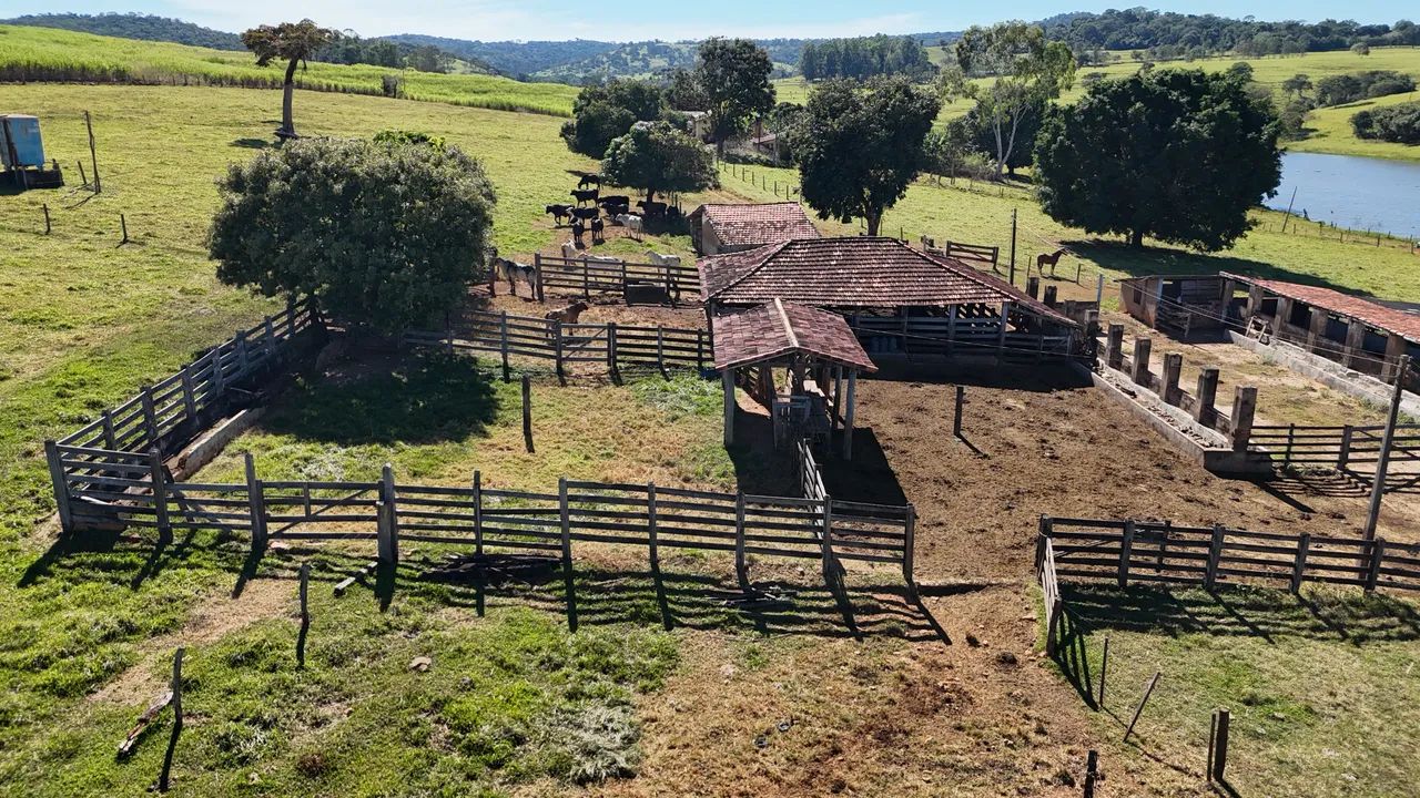 Fazenda próximo Goiânia-go - Foto 4
