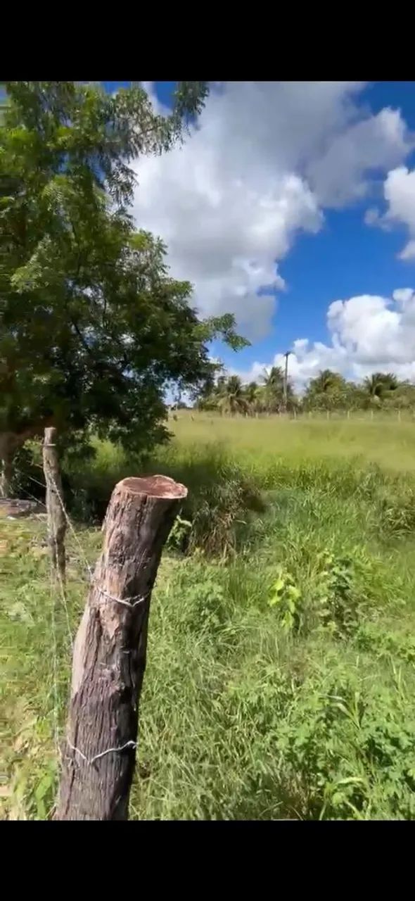 Terreno na beira da pista - Foto 5