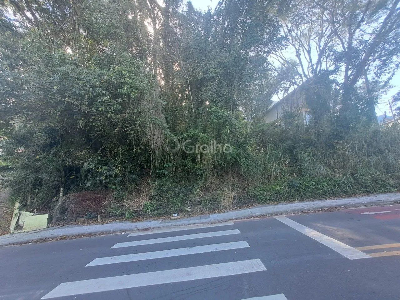 Terreno no Canto da Lagoa - Foto 2