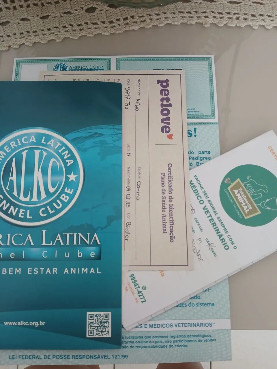 Vende-se  SHIH TZU macho de 11 meses, com pedigree. - Foto 5